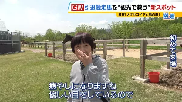 「引退競走馬の「第二の馬生」　長く生きられない馬もいる現実…　観光で現状変えるべく奮闘する牧場運営者たち「少しずつでも幸せに過ごせる馬を増やしたい」」の画像