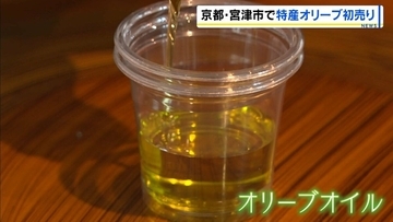 とれたてオリーブオイルの初売りイベント 高齢化で増えたミカン畑の耕作放棄地を活用 京都・宮津市