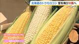 「北海道の朝採れトウモロコシが空を飛び大阪に！　JALの客室乗務員が阪神梅田本店の売り場でアピール」の画像1