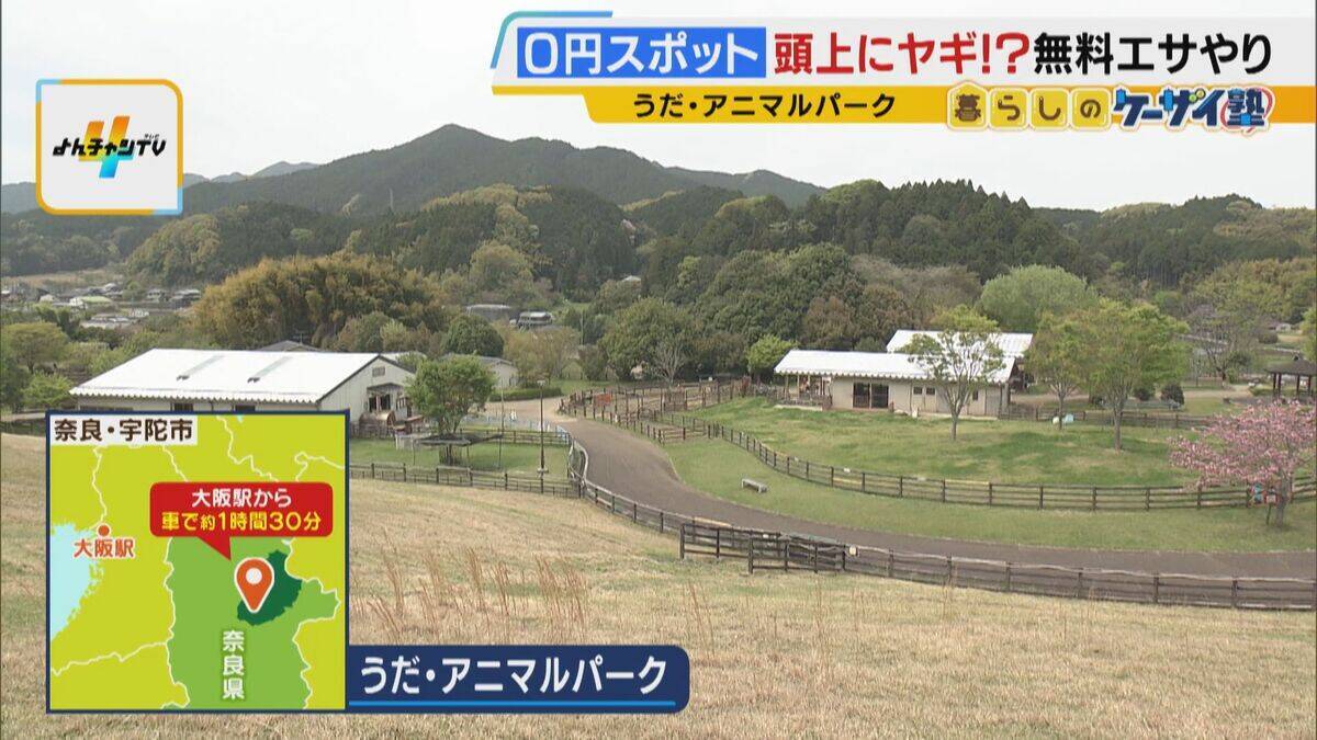 まだ間に合う！GWおでかけ“0円スポット”　触れて学んで体験する…予算を気にせず楽しめる関西の穴場＆近場4選！