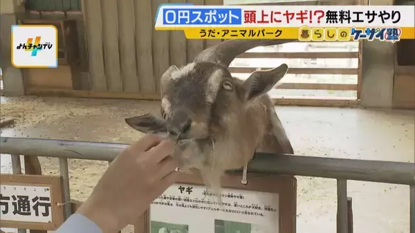 「まだ間に合う！GWおでかけ“0円スポット”　触れて学んで体験する…予算を気にせず楽しめる関西の穴場＆近場4選！」の画像