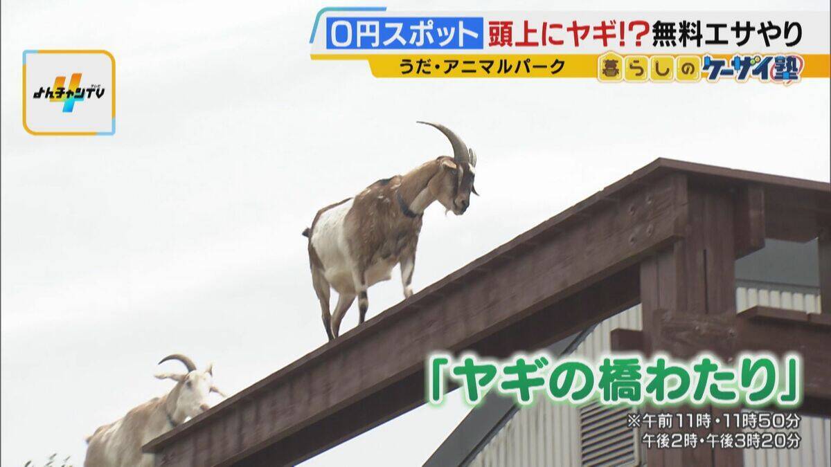 まだ間に合う！GWおでかけ“0円スポット”　触れて学んで体験する…予算を気にせず楽しめる関西の穴場＆近場4選！