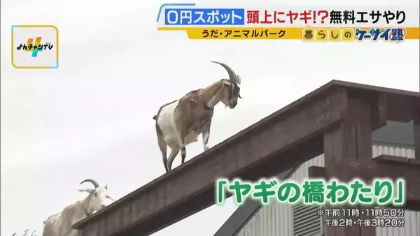 「まだ間に合う！GWおでかけ“0円スポット”　触れて学んで体験する…予算を気にせず楽しめる関西の穴場＆近場4選！」の画像