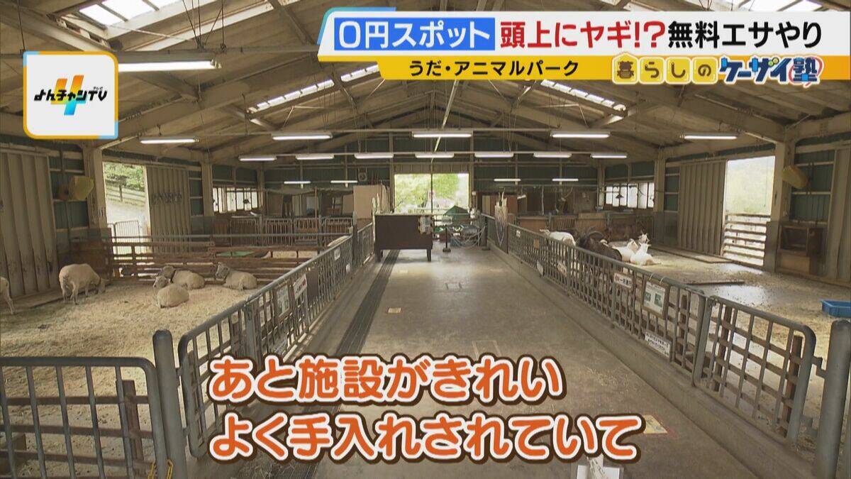 まだ間に合う！GWおでかけ“0円スポット”　触れて学んで体験する…予算を気にせず楽しめる関西の穴場＆近場4選！