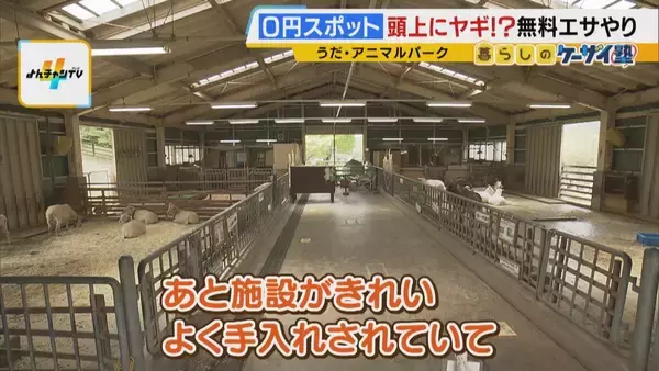 「まだ間に合う！GWおでかけ“0円スポット”　触れて学んで体験する…予算を気にせず楽しめる関西の穴場＆近場4選！」の画像