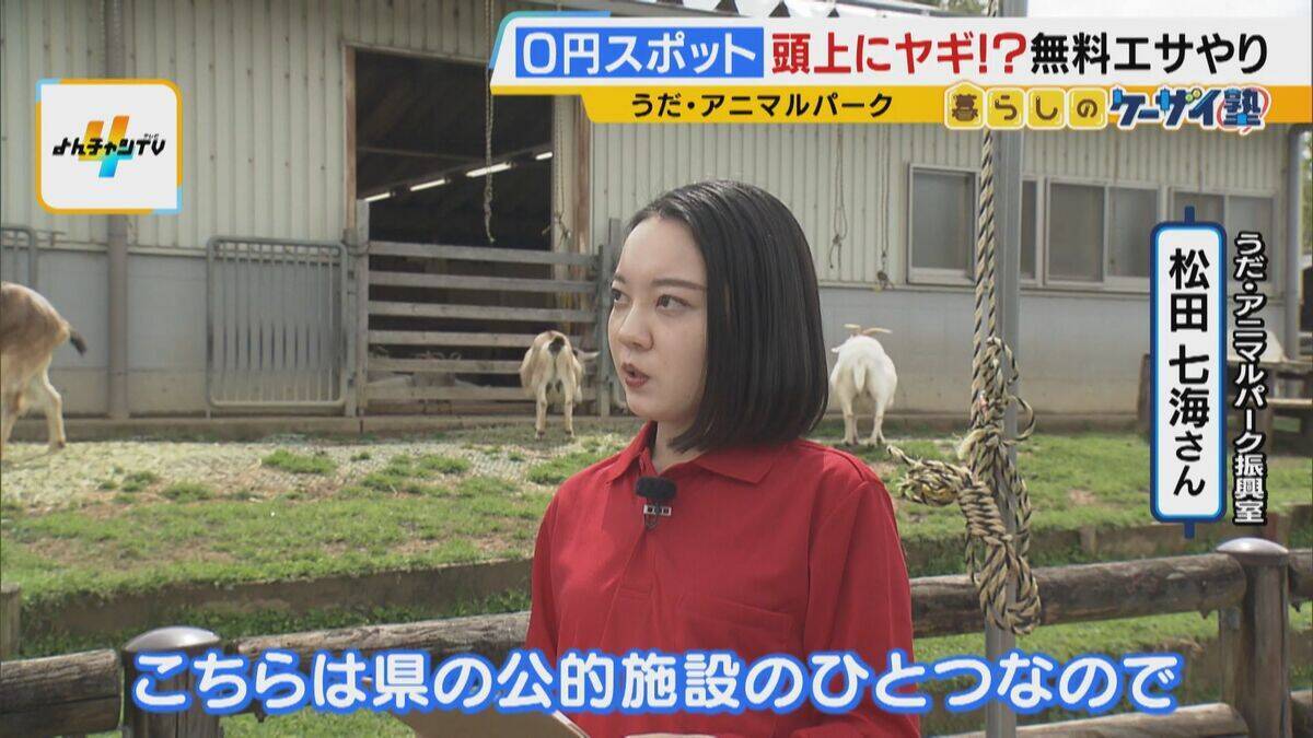 まだ間に合う！GWおでかけ“0円スポット”　触れて学んで体験する…予算を気にせず楽しめる関西の穴場＆近場4選！