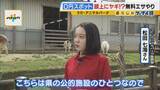 「まだ間に合う！GWおでかけ“0円スポット”　触れて学んで体験する…予算を気にせず楽しめる関西の穴場＆近場4選！」の画像14