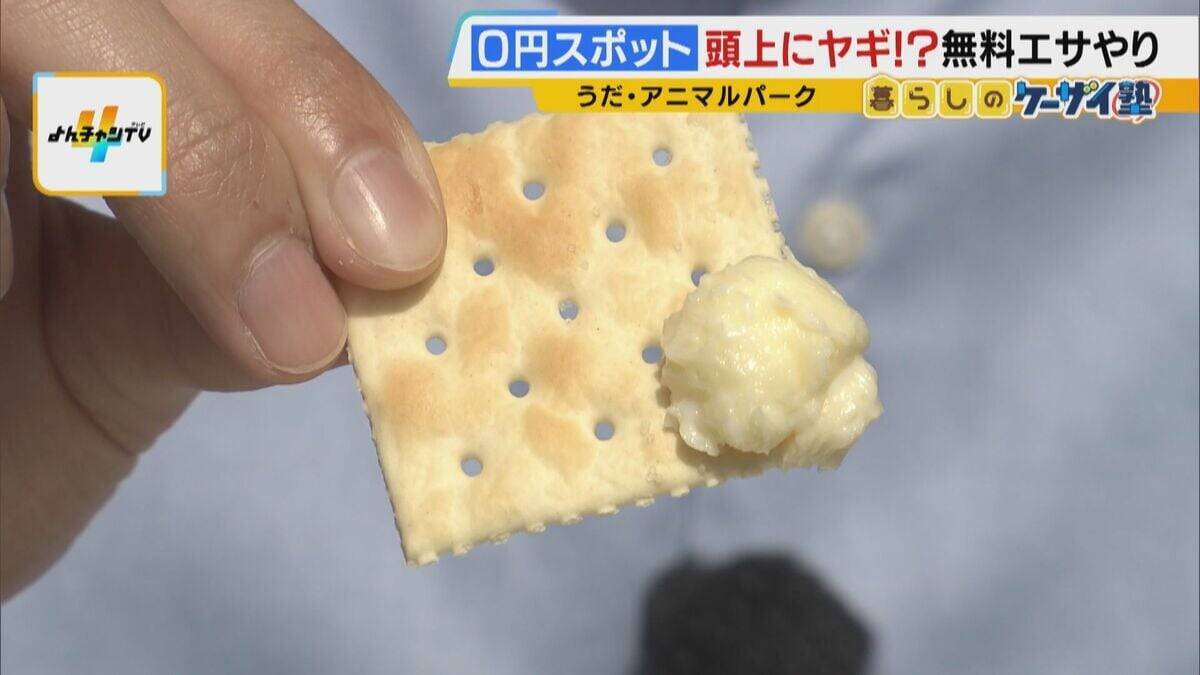 まだ間に合う！GWおでかけ“0円スポット”　触れて学んで体験する…予算を気にせず楽しめる関西の穴場＆近場4選！