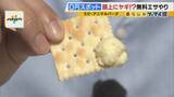 「まだ間に合う！GWおでかけ“0円スポット”　触れて学んで体験する…予算を気にせず楽しめる関西の穴場＆近場4選！」の画像17