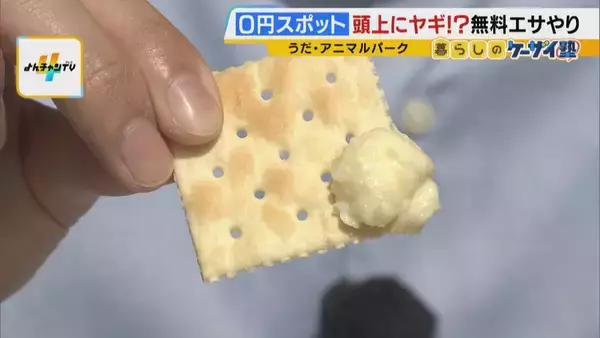 「まだ間に合う！GWおでかけ“0円スポット”　触れて学んで体験する…予算を気にせず楽しめる関西の穴場＆近場4選！」の画像