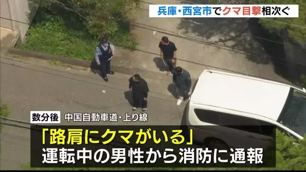 西宮市でクマ目撃情報２件　市道で「１頭歩いているのを見た」高速道路で「路肩にクマがいる」　同一個体の可能性