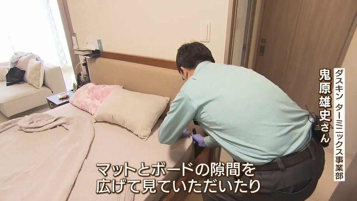【GWは要注意】数年前に社会問題化『トコジラミ』外出増える連休は「外国からの持ち帰り」に注意…家のどこにいる？近くにいるサインは？　害虫駆除の専門家に聞きました