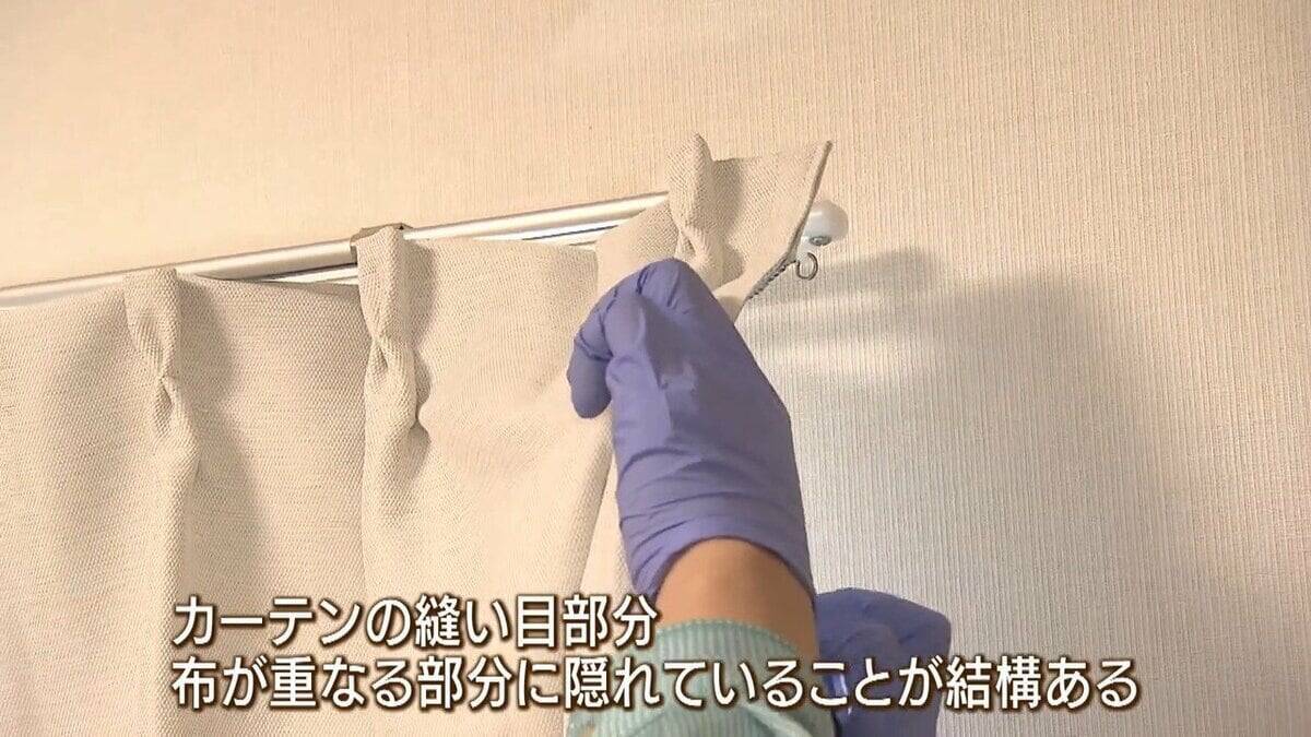 【GWは要注意】数年前に社会問題化『トコジラミ』外出増える連休は「外国からの持ち帰り」に注意…家のどこにいる？近くにいるサインは？　害虫駆除の専門家に聞きました