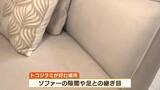「【GWは要注意】数年前に社会問題化『トコジラミ』外出増える連休は「外国からの持ち帰り」に注意…家のどこにいる？近くにいるサインは？　害虫駆除の専門家に聞きました」の画像7