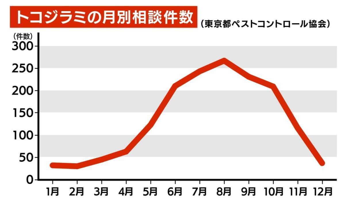【GWは要注意】数年前に社会問題化『トコジラミ』外出増える連休は「外国からの持ち帰り」に注意…家のどこにいる？近くにいるサインは？　害虫駆除の専門家に聞きました