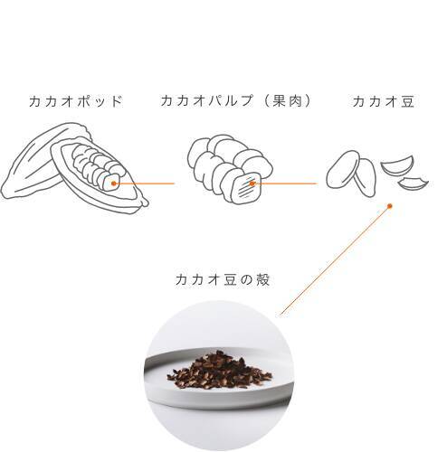 カカオの廃材から生まれた サスティナブルで新しいチョコレート Ecolate 販売中 21年5月12日 エキサイトニュース