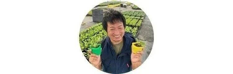 ベランダ菜園におすすめの野菜 ハーブ 9 3月はジャガイモを植えよう 21年3月1日 エキサイトニュース