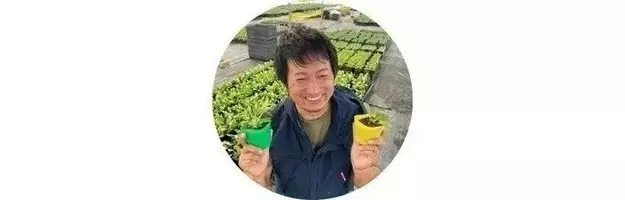 6月は長雨に負けない タイム を植えよう ベランダ菜園におすすめの野菜 ハーブ 16 21年6月19日 エキサイトニュース