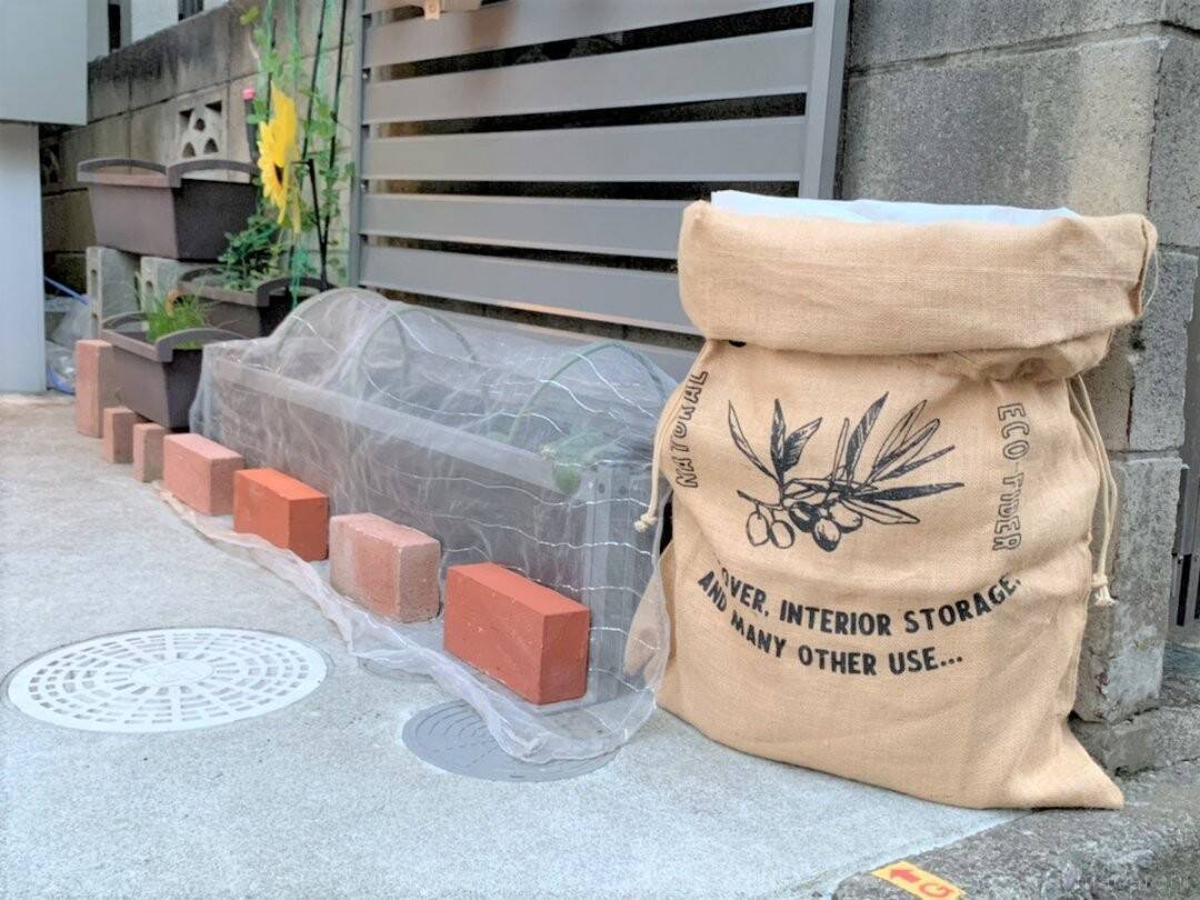 ベランダ菜園におすすめの野菜 ハーブ 9 3月はジャガイモを植えよう 21年3月1日 エキサイトニュース 6 6