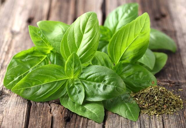 4月はバジルの寄せ植えにチャレンジ ベランダ菜園におすすめの野菜 ハーブ 11 21年4月17日 エキサイトニュース 3 4