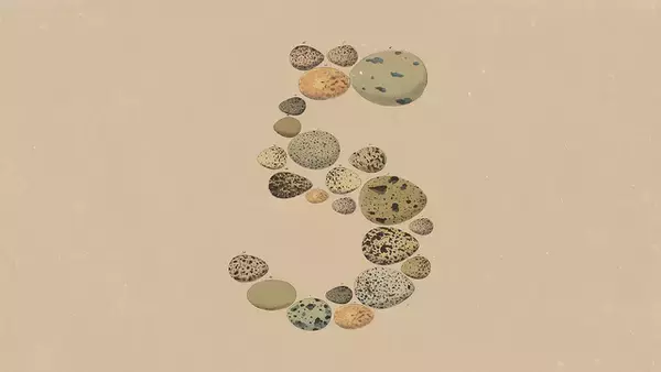 Anthropic、Claude Fable 5の最先端の知能に匹敵する性能を半額で提供する「Claude Opus 5」を発表