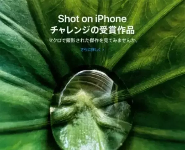 Apple、Shot on iPhoneマクロ写真撮影チャレンジの受賞作品を発表