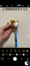 Tinkerworks Appsのカメラアプリ「ProCam」が、iPhone 18 Proシリーズの可変絞りに対応