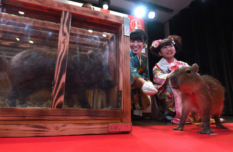 通天閣で 干支の引継ぎ式