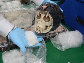 どくろの置物や石像に覚醒剤　密輸の疑い、74歳米国人起訴　成田空港