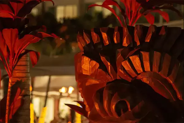 「写真のノイズを軽減・除去する」の画像