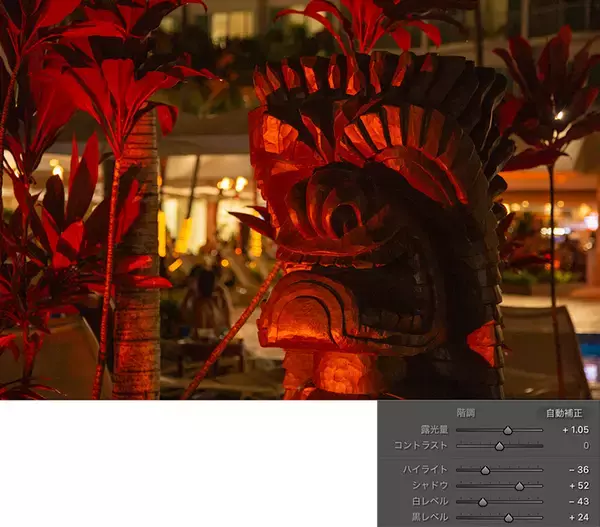 「写真のノイズを軽減・除去する」の画像