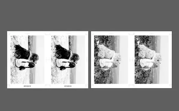 「レトロで味わい深いリソグラフ印刷で何気ない写真もアートになる「HARD COPY CLUB」を体験」の画像