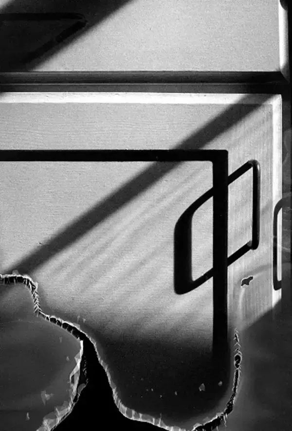 「ファインペーパーと印刷技術を掛け合わせた写真展「紙の光 光のしるし」」の画像