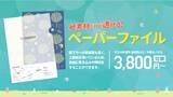 「紙製なのに半透明で中身を見やすい！ファインワークスが「ペーパーファイル（刷り込み）」をリリース」の画像1