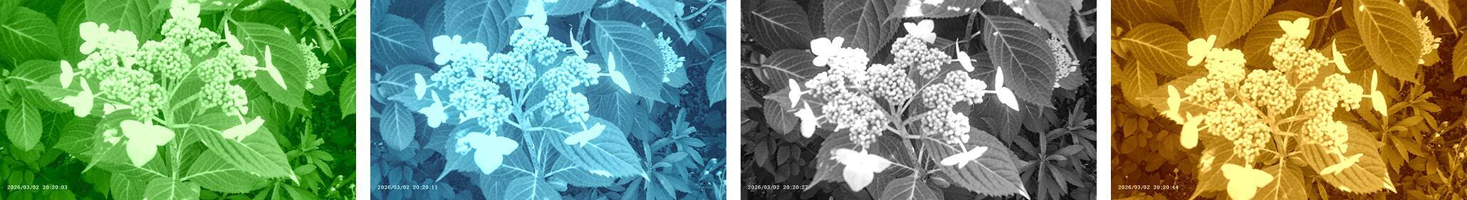 おしゃれで使える手の平サイズのミニレトロカメラ「HARU」