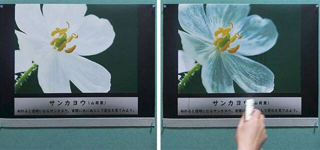 SO-KEN、水に濡れると絵が変化する印刷商品「ハイドロプリント」をリリース