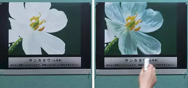 「SO-KEN、水に濡れると絵が変化する印刷商品「ハイドロプリント」をリリース」の画像