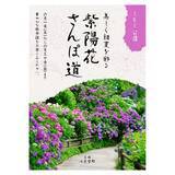 「縦組みでの連綿体がとにかくすごい！ 続け字のような最適な字形に自動で置き換わる「澄月」」の画像1
