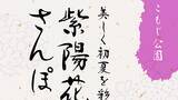 「縦組みでの連綿体がとにかくすごい！ 続け字のような最適な字形に自動で置き換わる「澄月」」の画像2