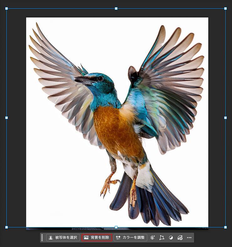 Photoshopで被写体が飛び出す写真を表現するテクニック（飛び出す写真／写真加工）
