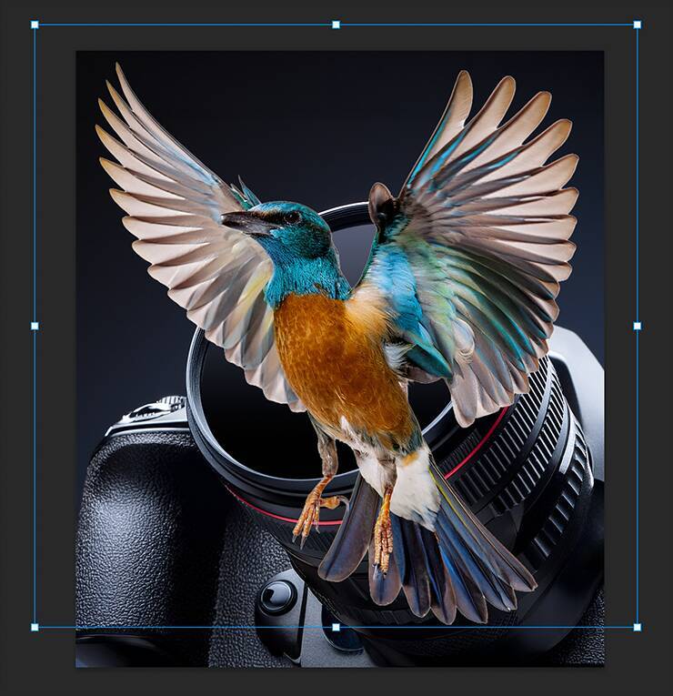 Photoshopで被写体が飛び出す写真を表現するテクニック（飛び出す写真／写真加工）