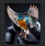 「Photoshopで被写体が飛び出す写真を表現するテクニック（飛び出す写真／写真加工）」の画像14