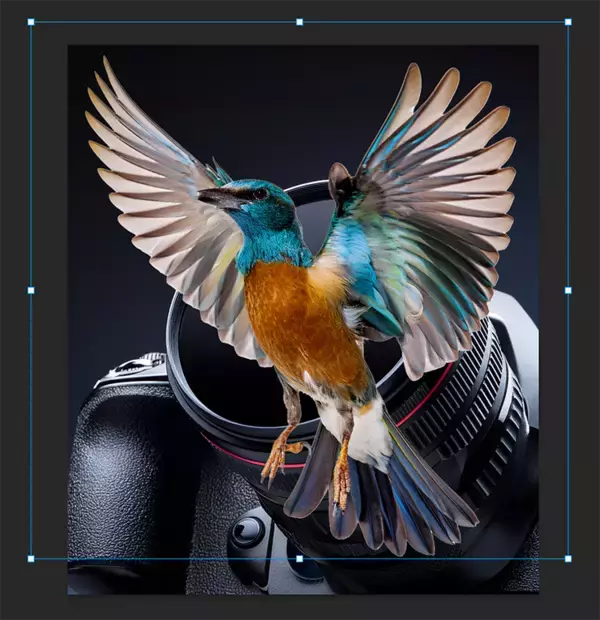 「Photoshopで被写体が飛び出す写真を表現するテクニック（飛び出す写真／写真加工）」の画像