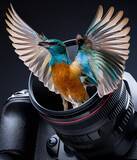 「Photoshopで被写体が飛び出す写真を表現するテクニック（飛び出す写真／写真加工）」の画像19