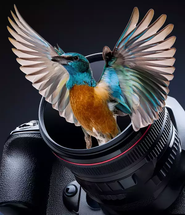 「Photoshopで被写体が飛び出す写真を表現するテクニック（飛び出す写真／写真加工）」の画像