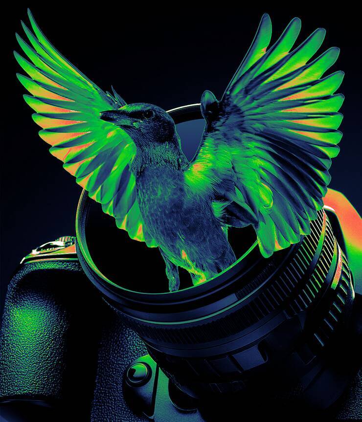 Photoshopで被写体が飛び出す写真を表現するテクニック（飛び出す写真／写真加工）