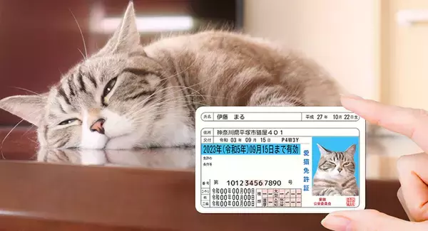 Pawmy、猫用のオリジナル身分証明書風グッズ「愛猫免許証」をリニューアル発売