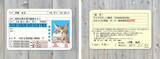 「Pawmy、猫用のオリジナル身分証明書風グッズ「愛猫免許証」をリニューアル発売」の画像2