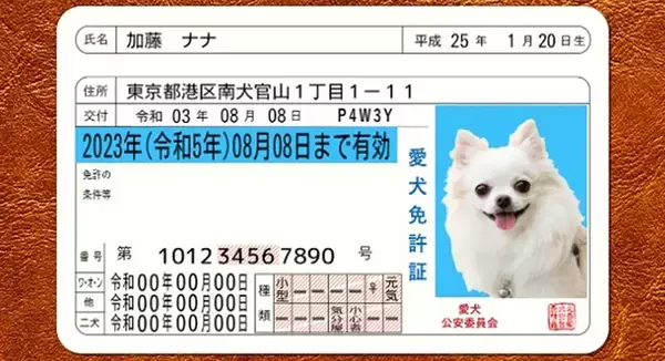 「Pawmy、猫用のオリジナル身分証明書風グッズ「愛猫免許証」をリニューアル発売」の画像