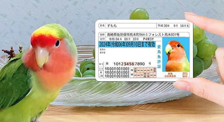 Pawmy、猫用のオリジナル身分証明書風グッズ「愛猫免許証」をリニューアル発売
